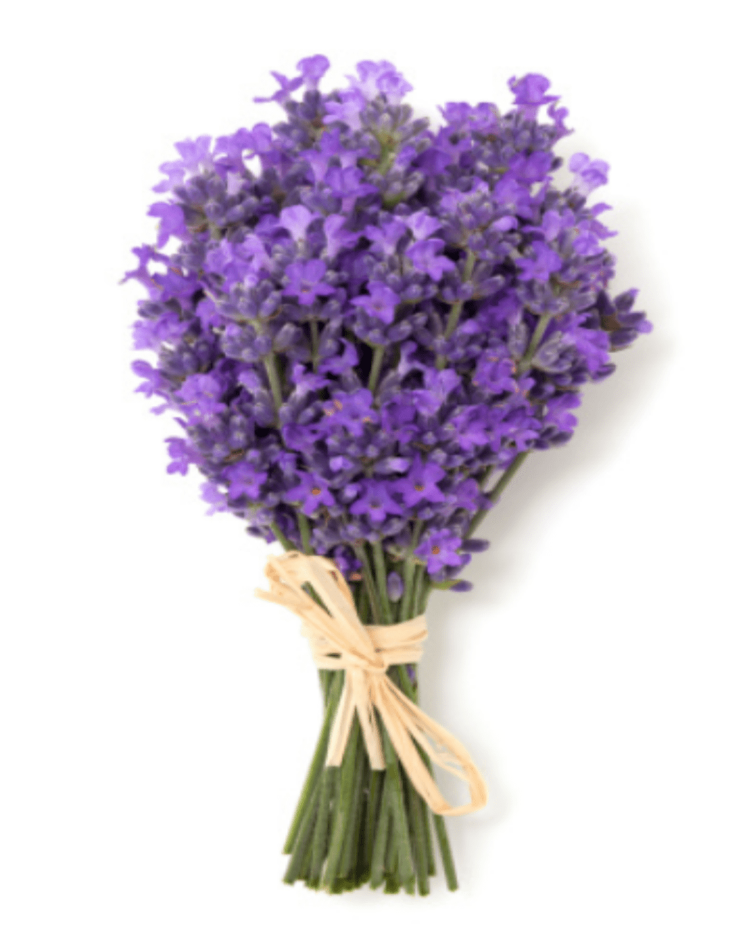 Exfoliating Organic Anti - Aging Body Scrub - Lavender Fragrance - Ms.Rubies Beauty Shop