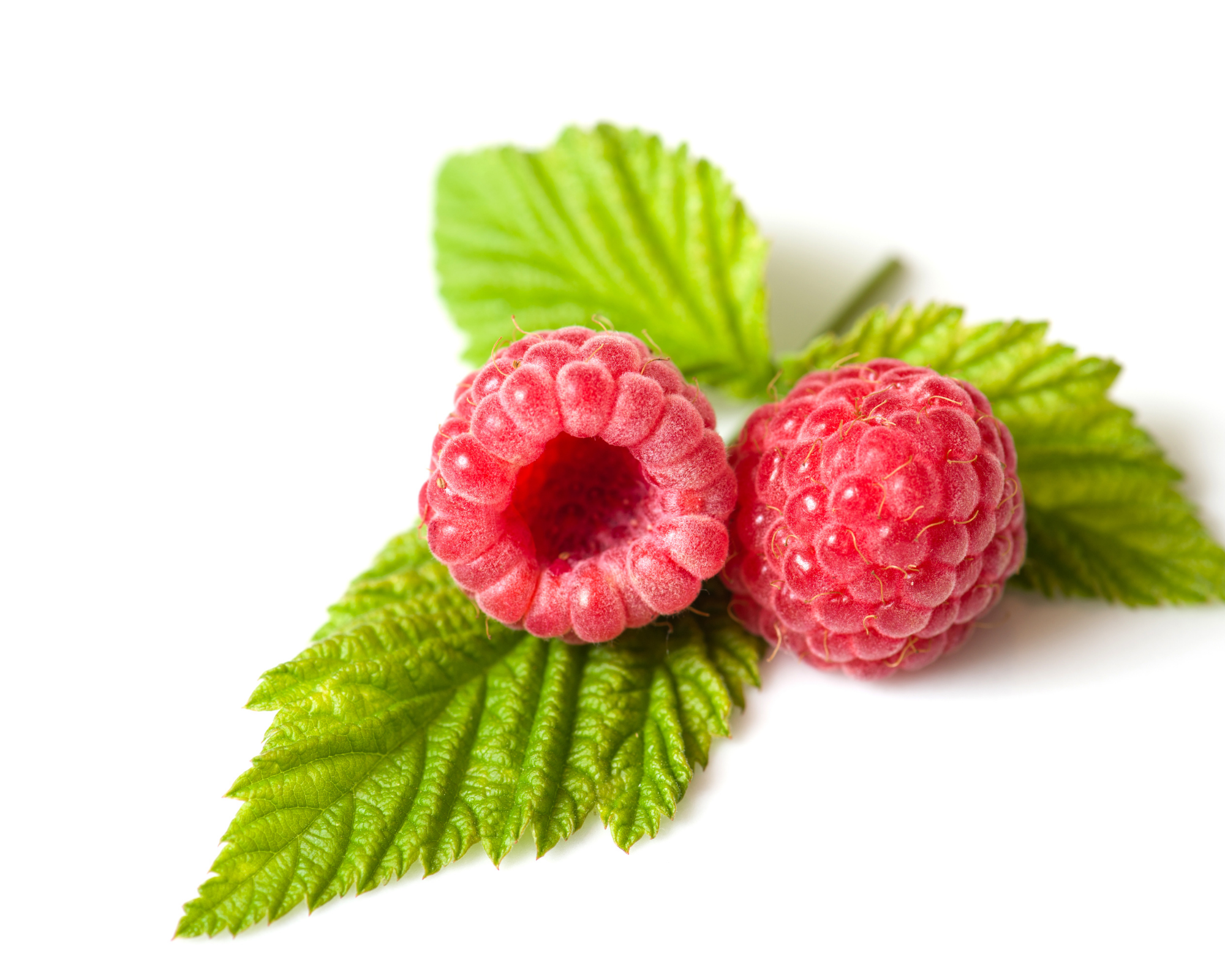 Raspberry - Keto - Ms.Rubies Beauty Shop